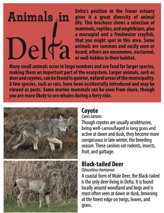 Animals in Delta Brochure