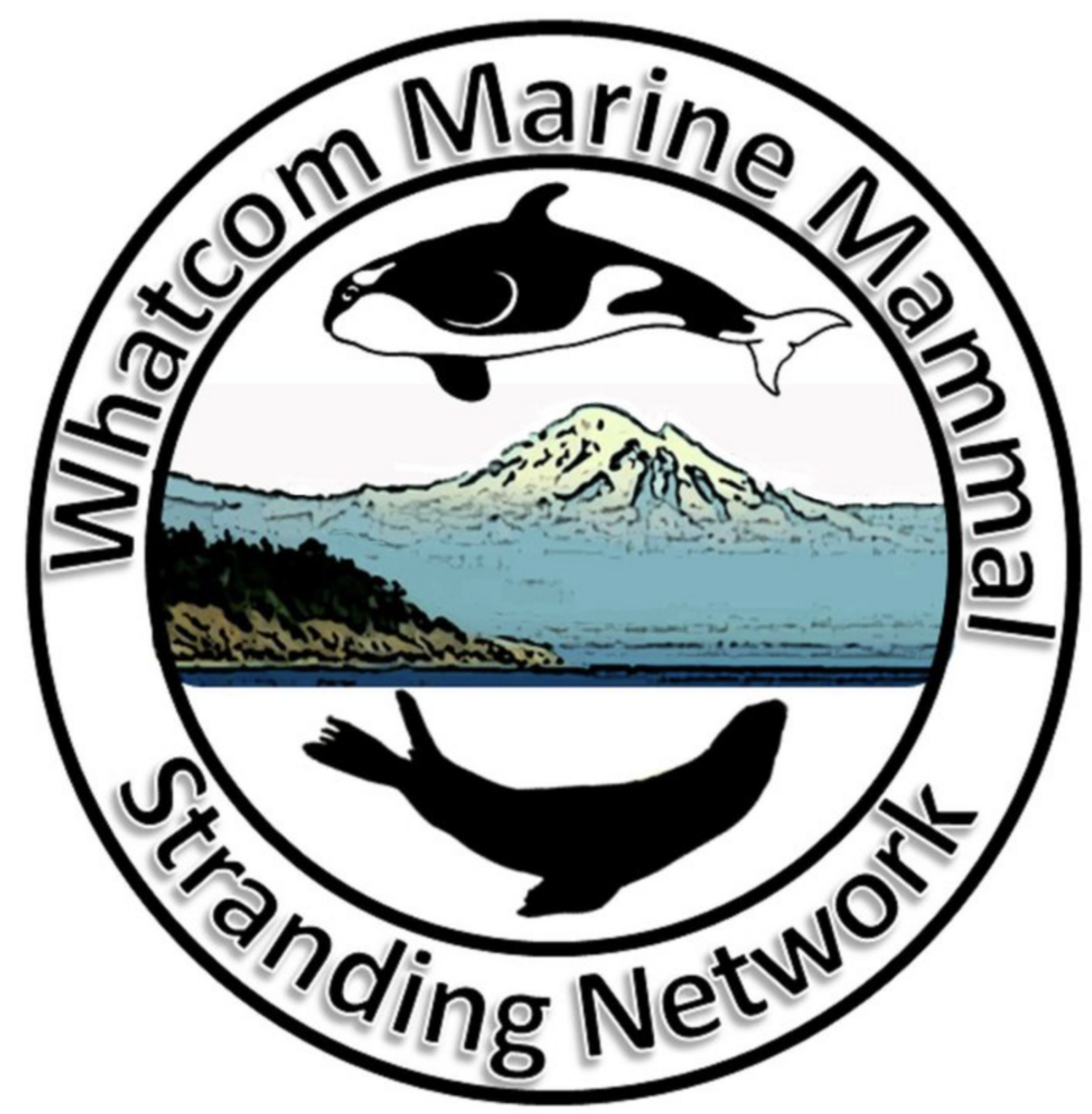 Whatcom Marine Mammal Stranding Network