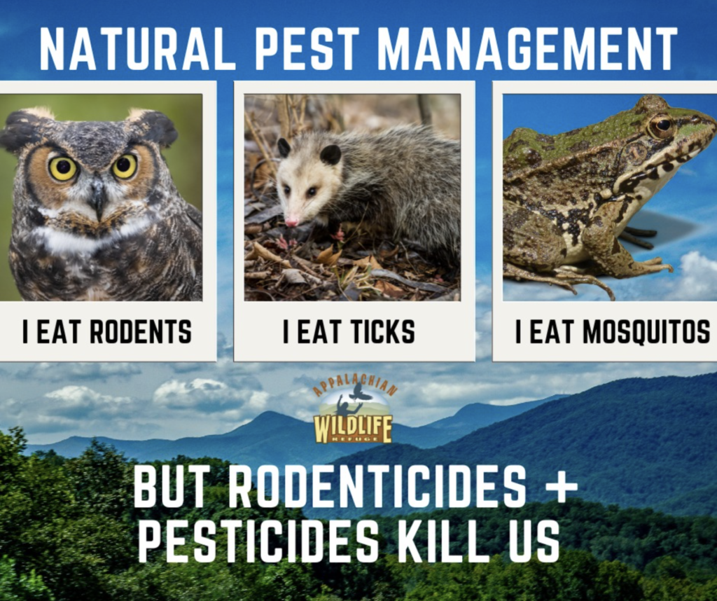 Natural Pest Management